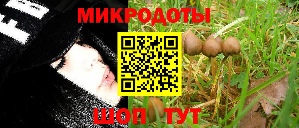 Галлюциногенные грибы Psilocybe  Вход с VPN  Галлюциногенные грибы мицелий  Пенза 